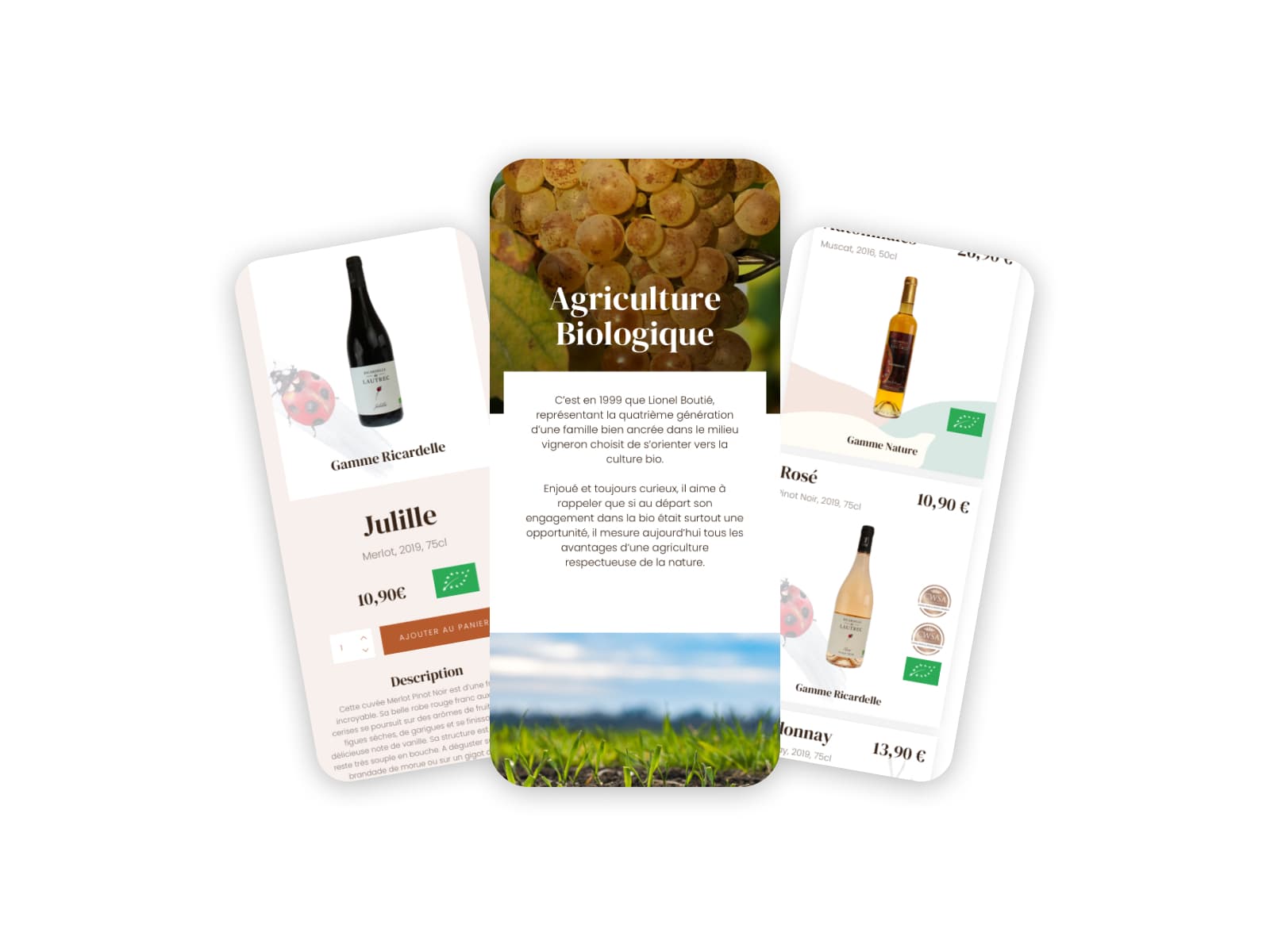 newsletter vins et occitanie